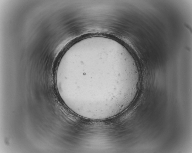 X0000099500927200806051119