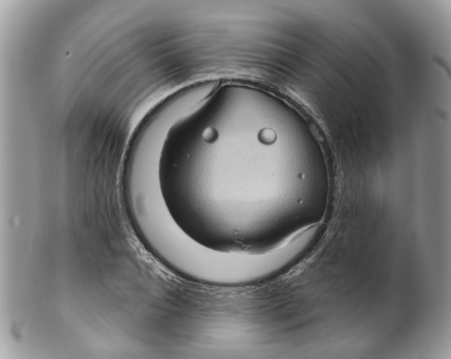 X0000099500928200806051119