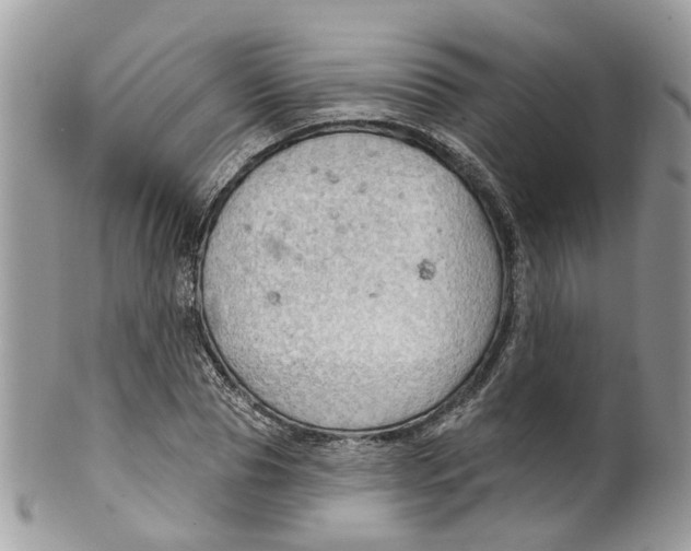 X0000099500929200806051119