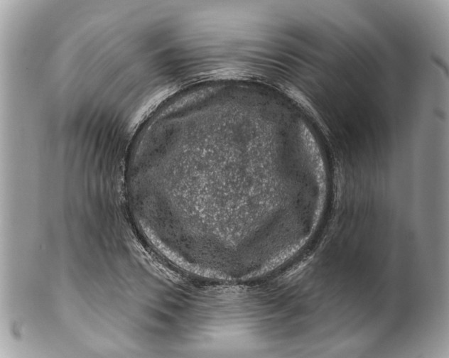 X0000099500930200806051119