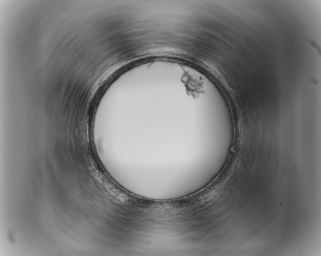 X0000099500931200806051119