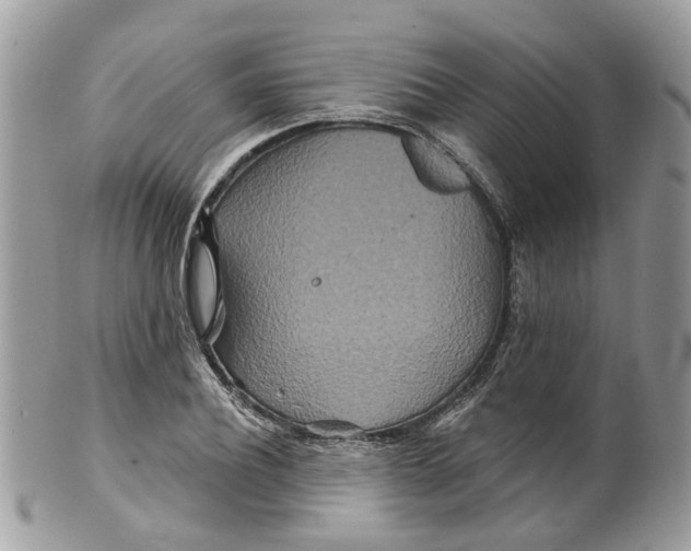 X0000099500932200806051119