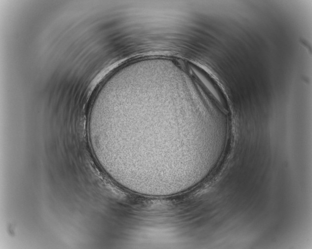 X0000099500933200806051119