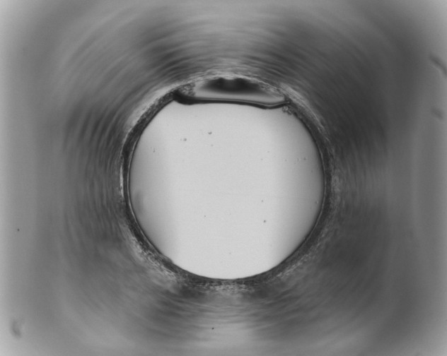 X0000099500934200806051119