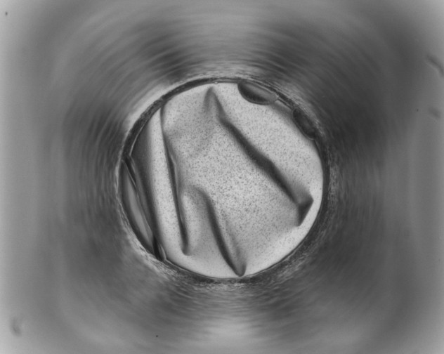 X0000099500936200806051119