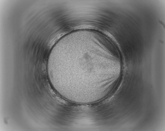 X0000099500937200806051119