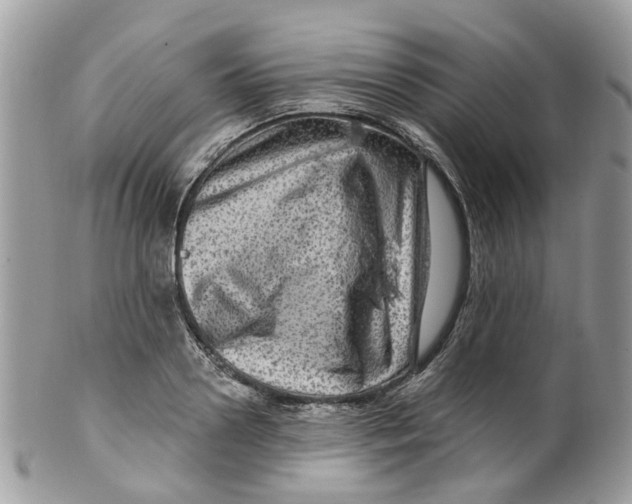 X0000099500938200806051119