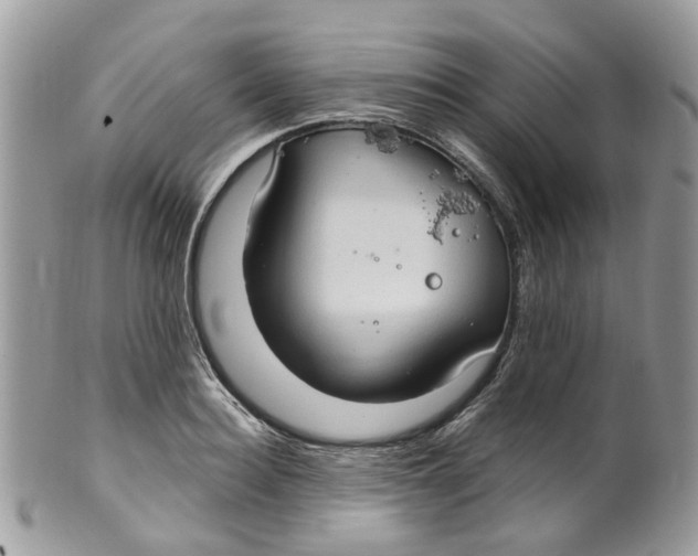 X0000099500940200806051119