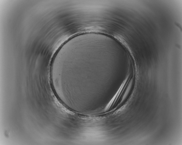 X0000099500941200806051119