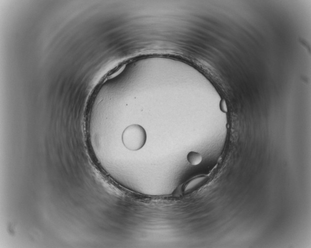 X0000099500942200806051119