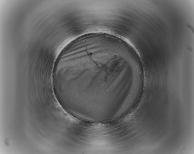 X0000099500943200806051119