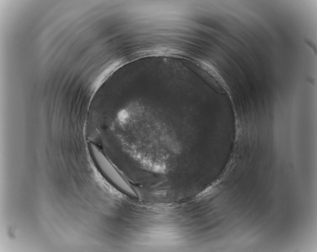 X0000099500946200806051119