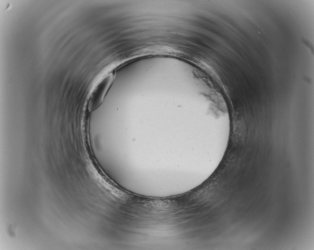 X0000099500947200806051119