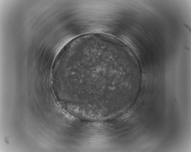 X0000099500948200806051119