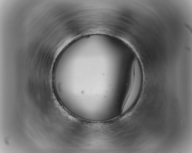 X0000099500949200806051119