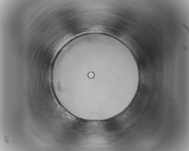 X0000099500950200806051119