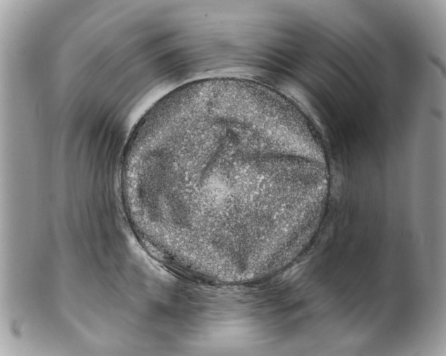 X0000099500952200806051119