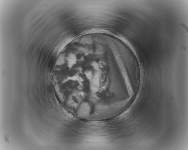 X0000099500953200806051120