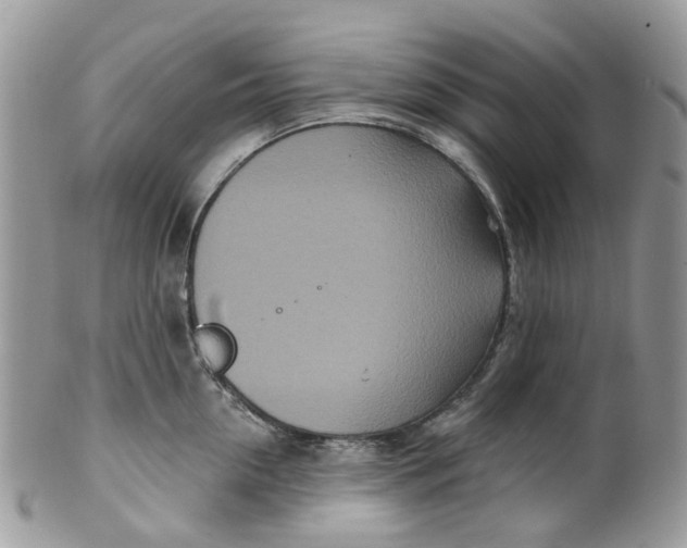 X0000099500954200806051120