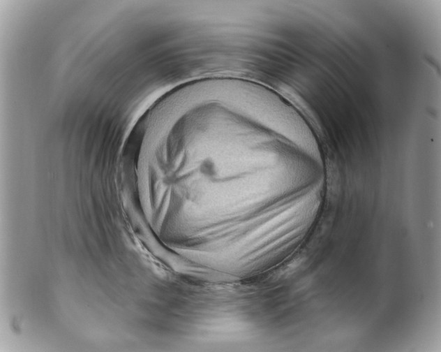 X0000099500956200806051120