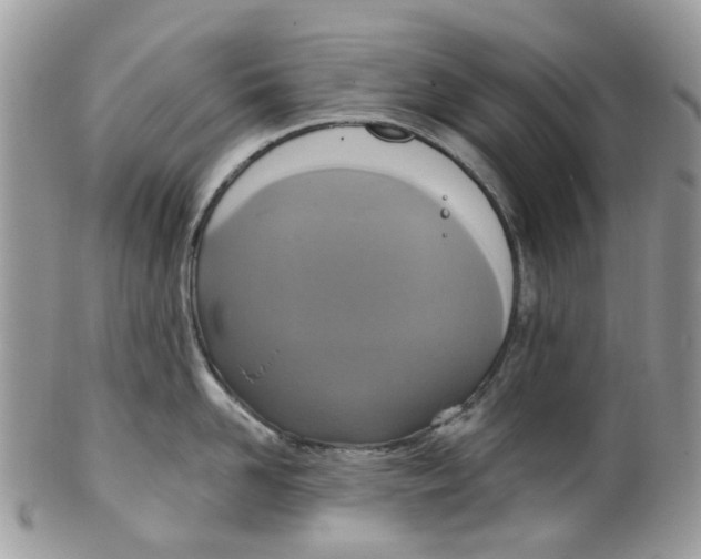 X0000099500958200806051120