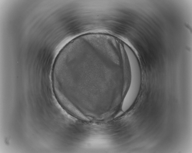 X0000099500959200806051120