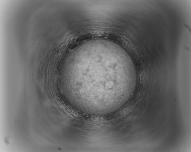 X0000099500961200806051119