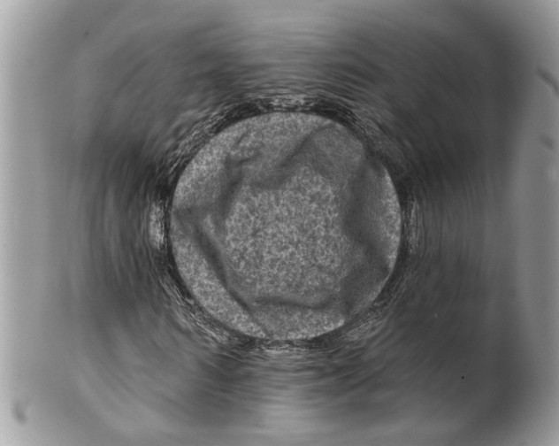 X0000099500962200806051119