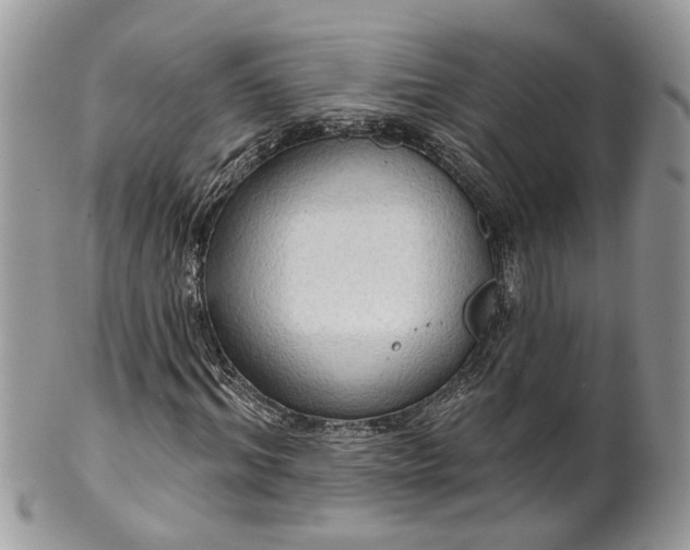 X0000099500964200806051119