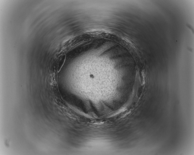 X0000099500965200806051119