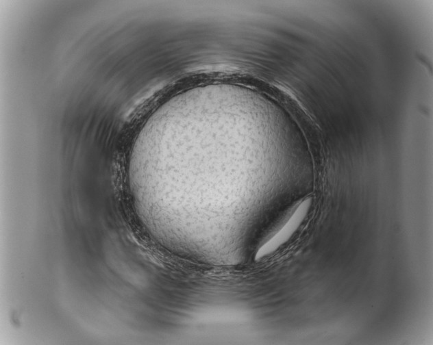 X0000099500967200806051119