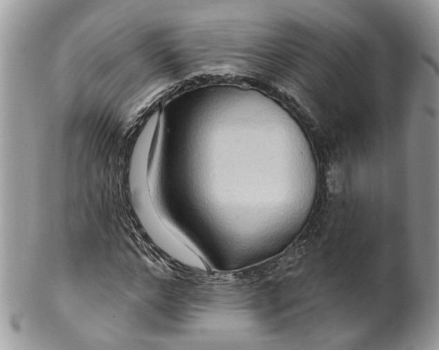 X0000099500968200806051119