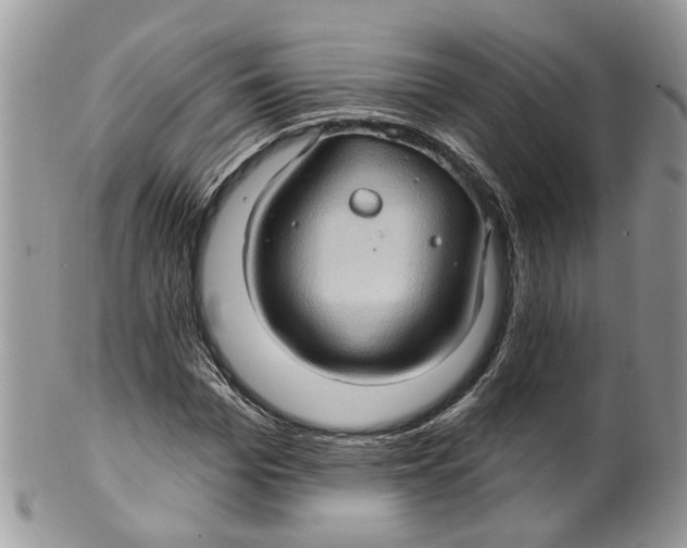 X0000099500969200806051119