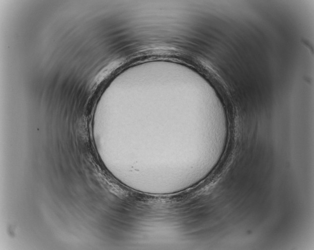 X0000099500970200806051119