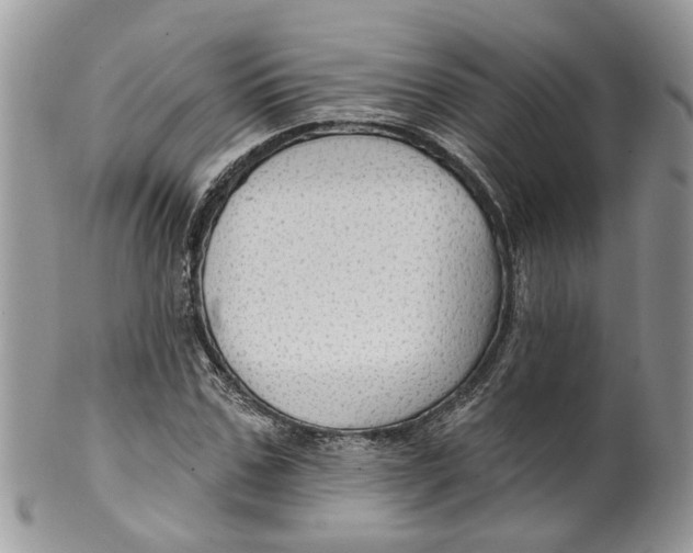 X0000099500971200806051119