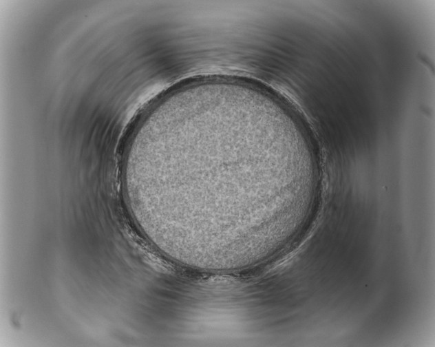 X0000099500974200806051119