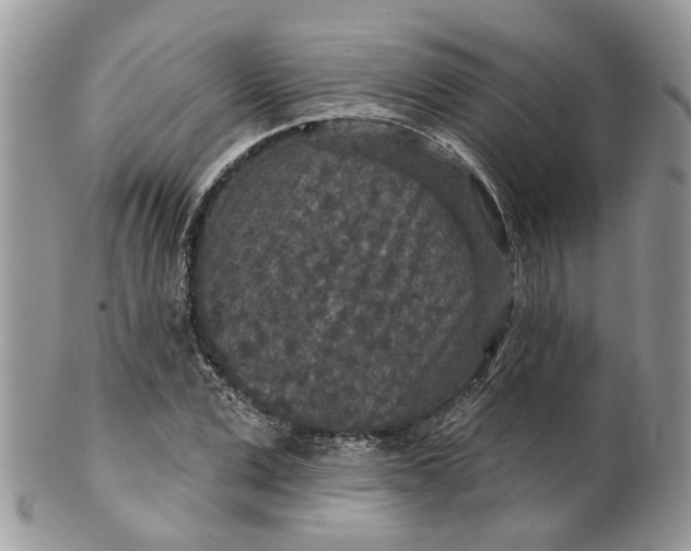 X0000099500975200806051119