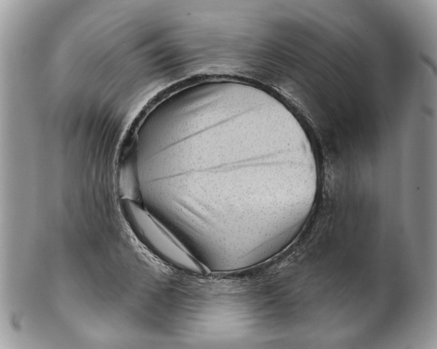 X0000099500976200806051119