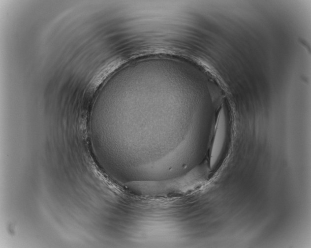 X0000099500977200806051119