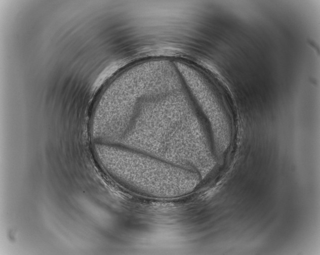 X0000099500978200806051119