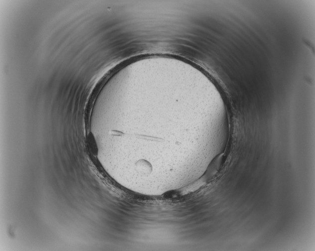 X0000099500980200806051119