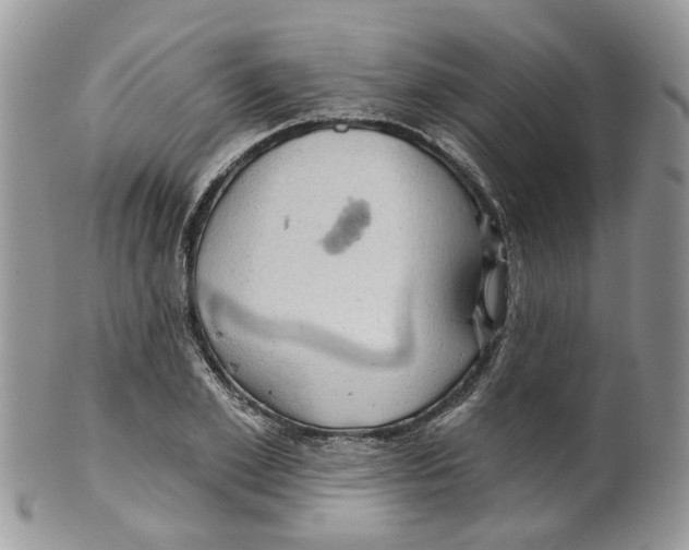 X0000099500981200806051119