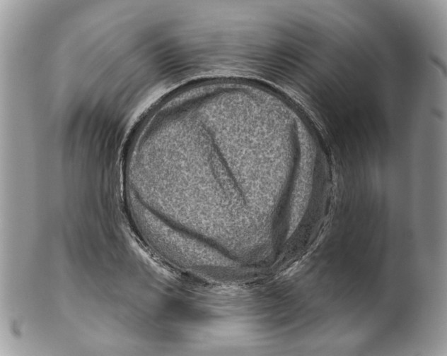 X0000099500982200806051119