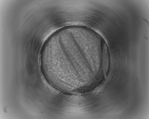 X0000099500983200806051119