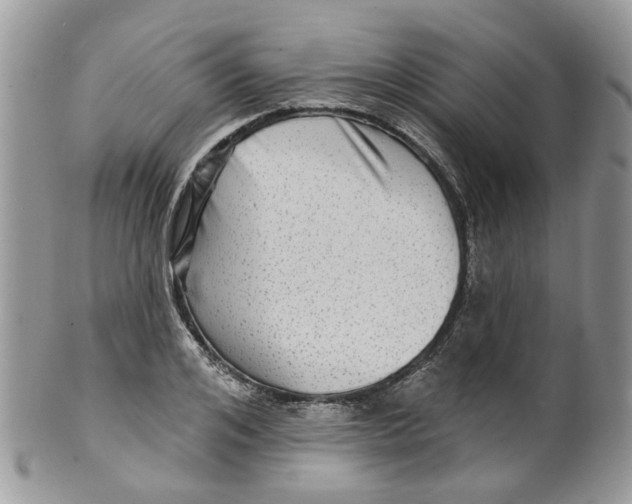 X0000099500984200806051119