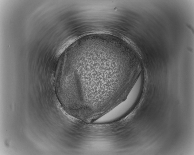 X0000099500985200806051119