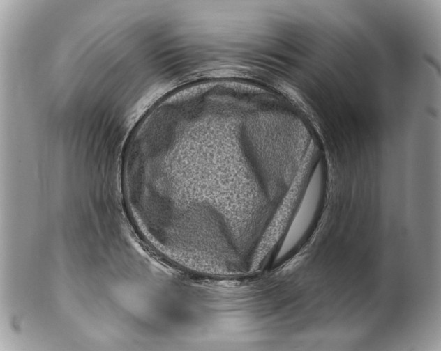 X0000099500986200806051119