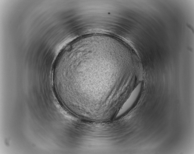 X0000099500987200806051119