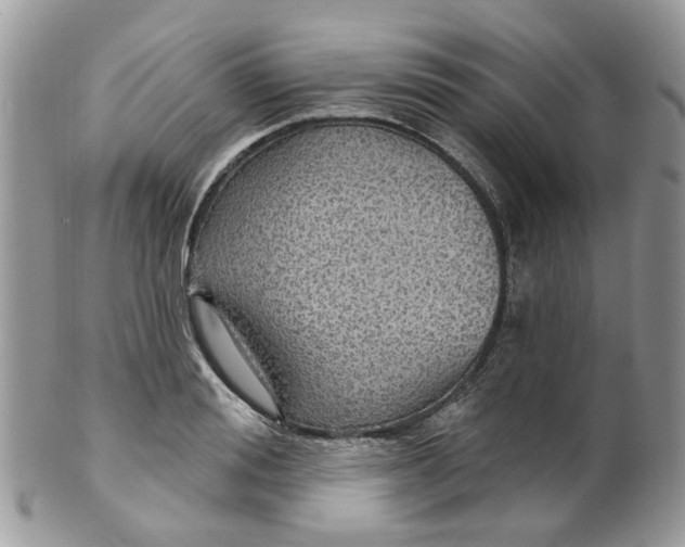 X0000099500988200806051119