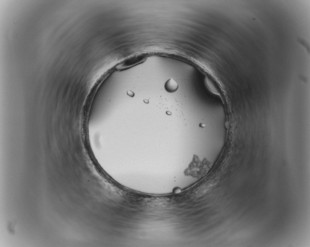 X0000099500991200806051118